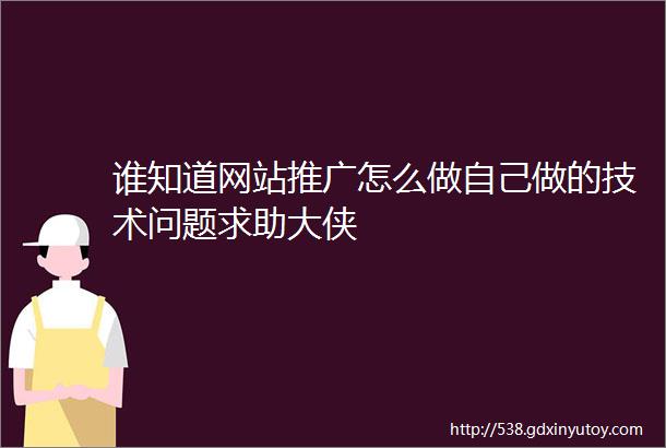 谁知道网站推广怎么做自己做的技术问题求助大侠